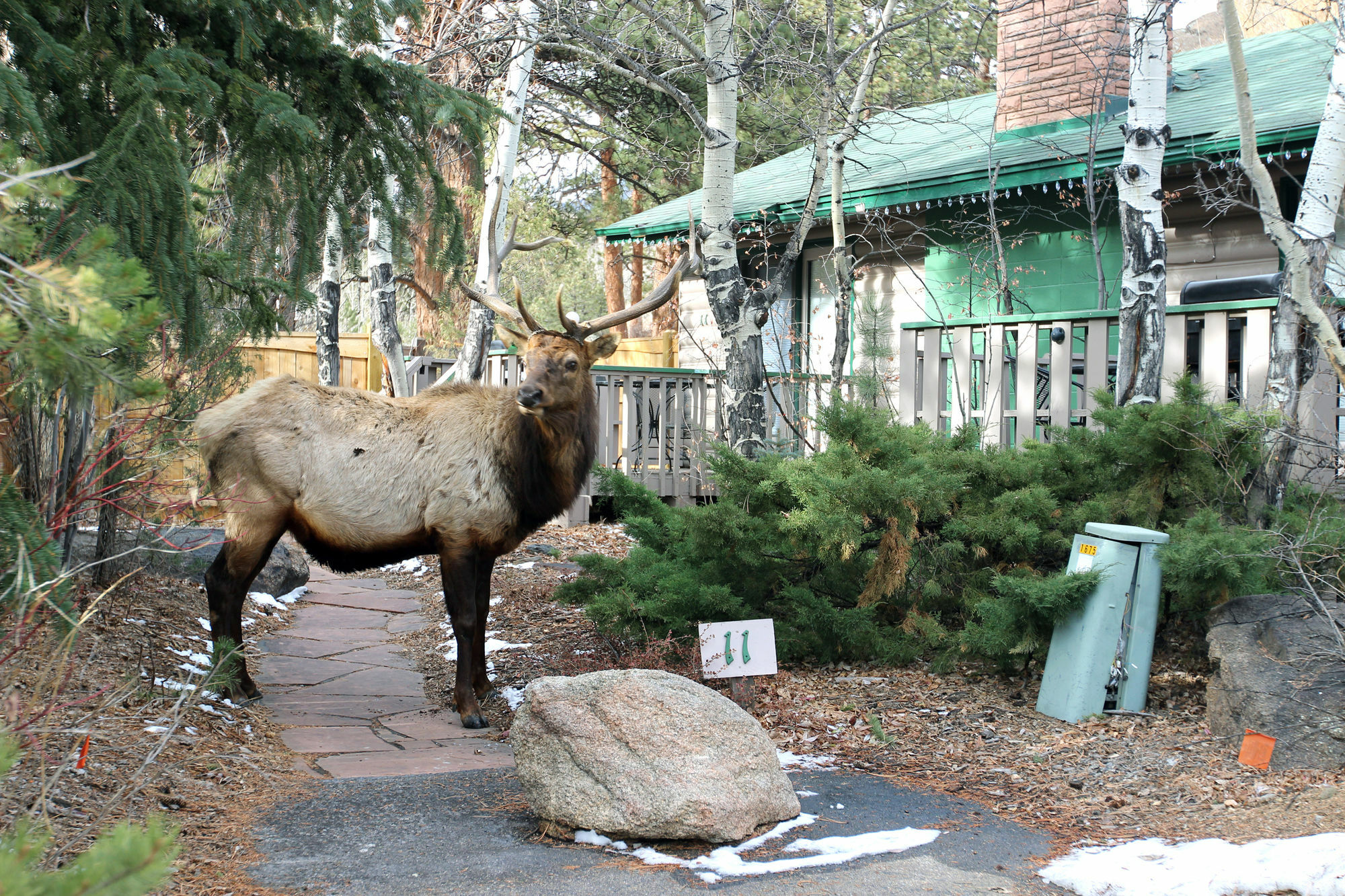 Sunnyside Knoll Resort Estes Park Zewnętrze zdjęcie